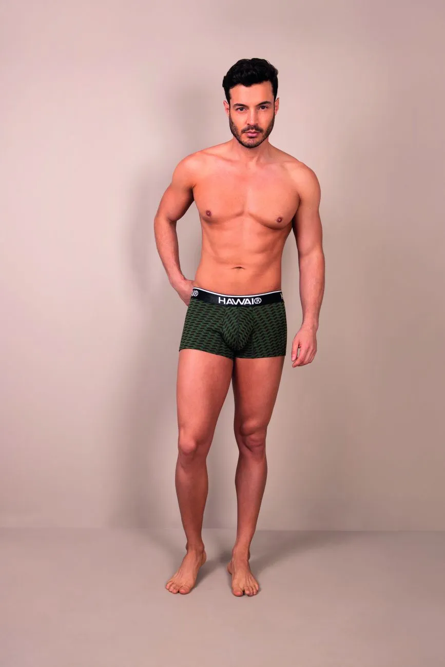 Clothing_Hawair_Mens Underwear HAWAI 42371 Printed Trunks Color Green