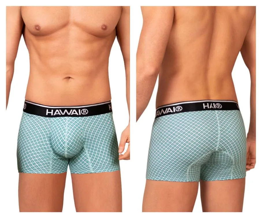 Clothing_Hawair_Mens Underwear HAWAI 42421 Printed Trunks Color Green