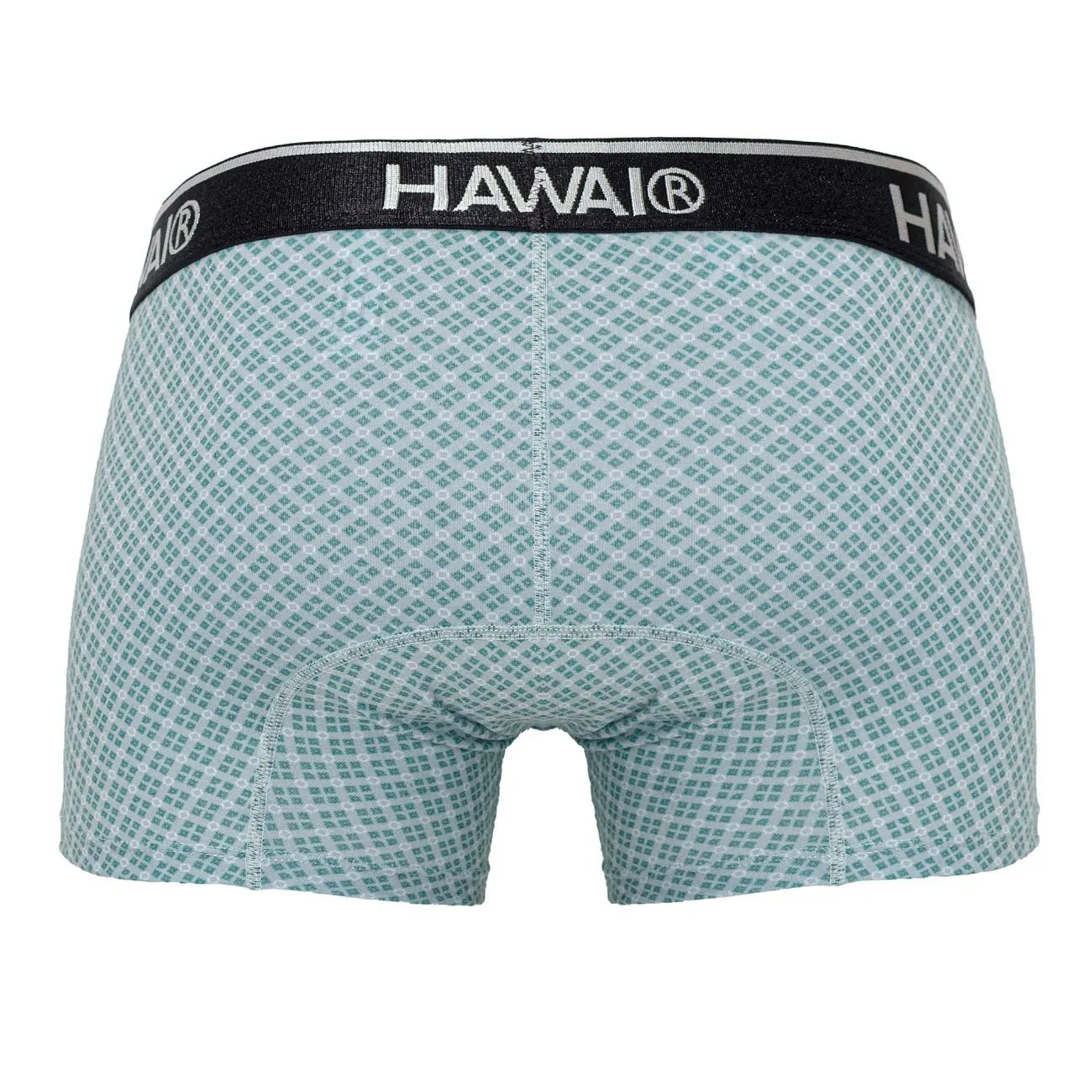 Clothing_Hawair_Mens Underwear HAWAI 42421 Printed Trunks Color Green