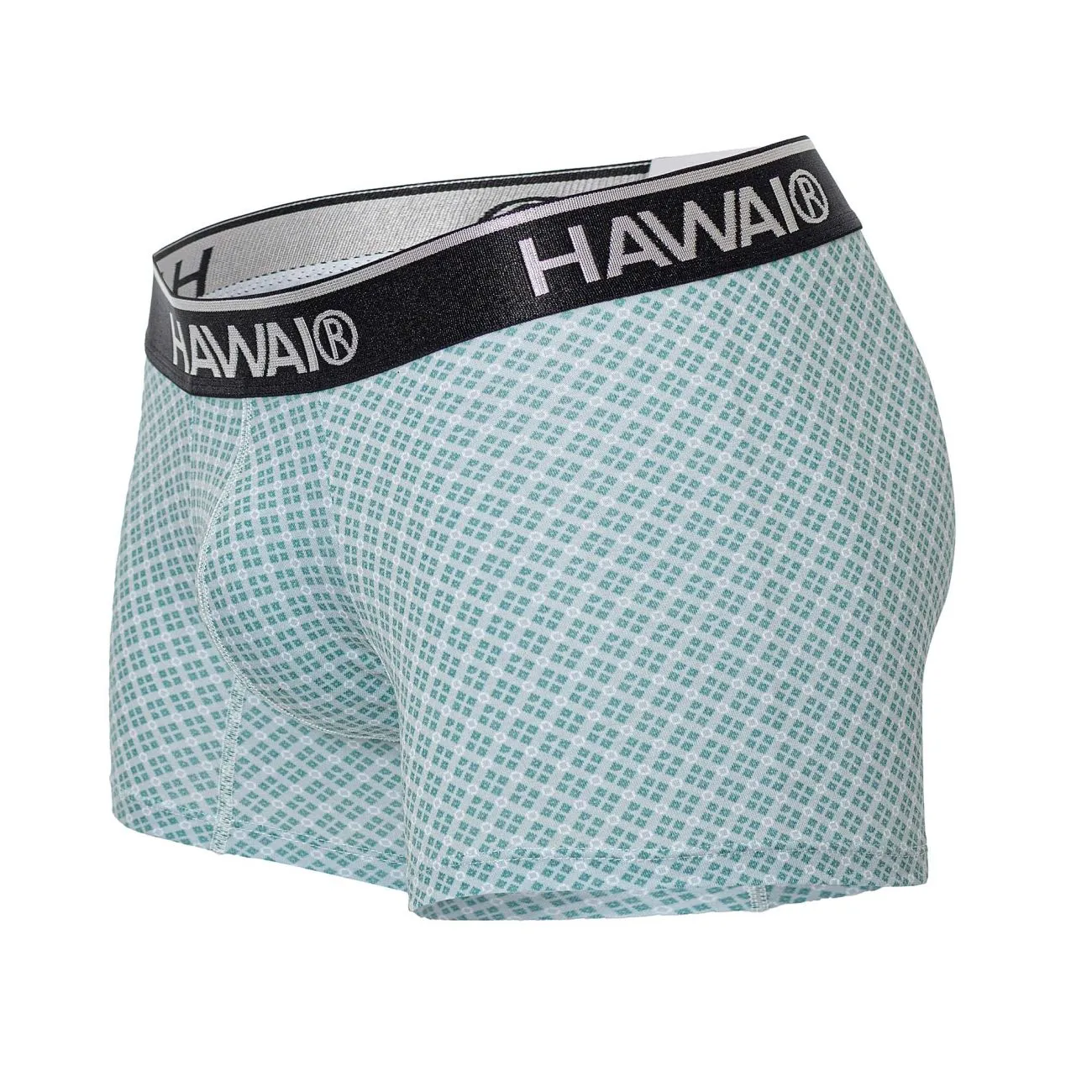 Clothing_Hawair_Mens Underwear HAWAI 42421 Printed Trunks Color Green