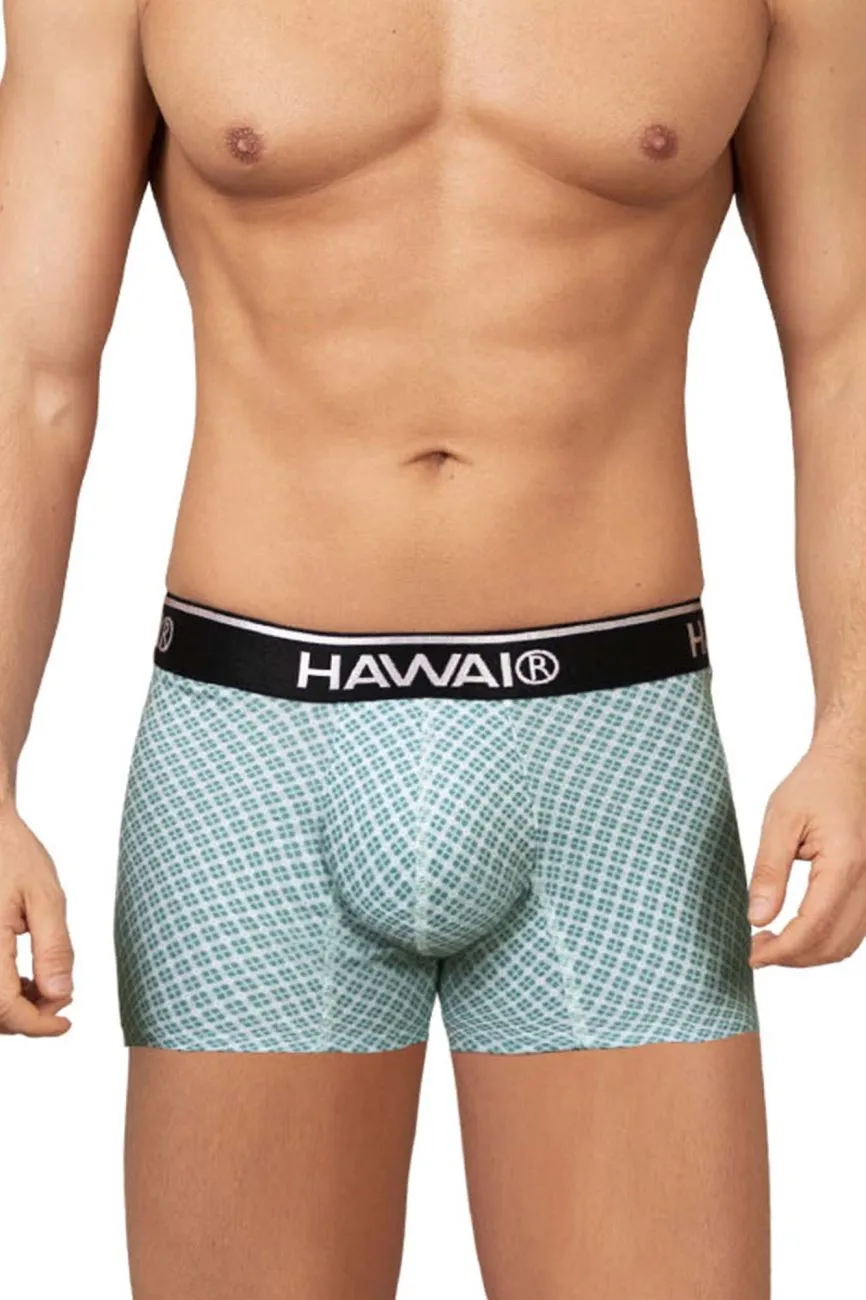 Clothing_Hawair_Mens Underwear HAWAI 42421 Printed Trunks Color Green