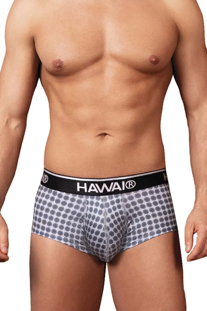 Clothing_Hawair_Mens Underwear HAWAI 42430 Printed Briefs Color Gray
