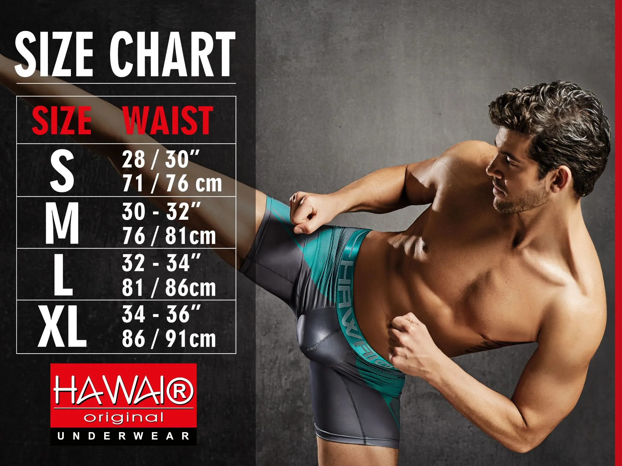 Clothing_Hawair_Mens Underwear HAWAI 42430 Printed Briefs Color Gray