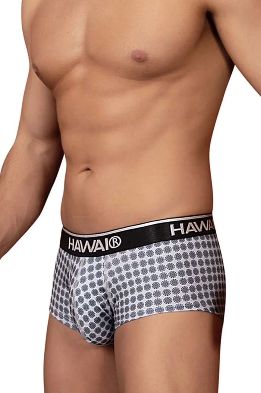 Clothing_Hawair_Mens Underwear HAWAI 42430 Printed Briefs Color Gray