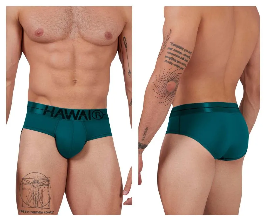 Clothing_Hawair_Mens Underwear HAWAIR 41963 Microfiber Briefs Color Green