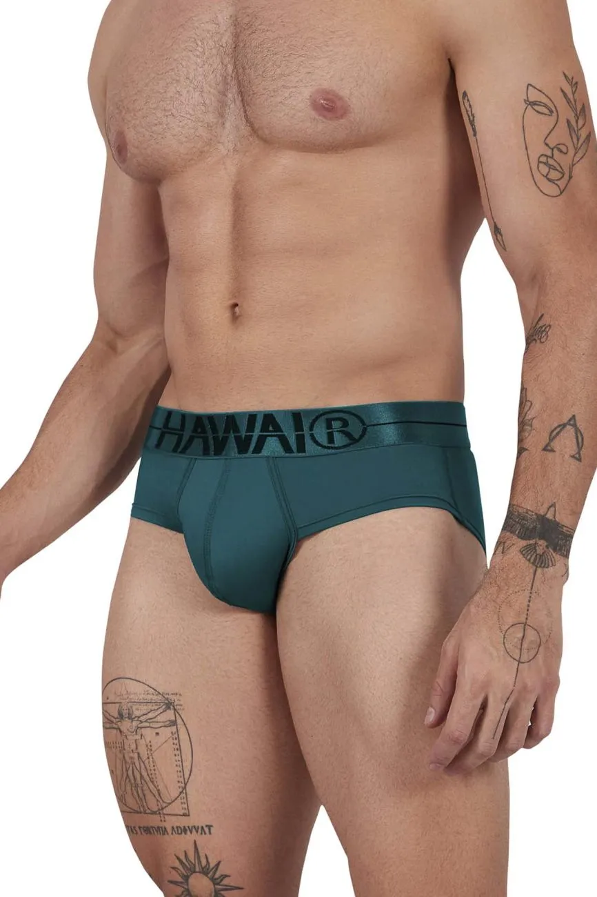 Clothing_Hawair_Mens Underwear HAWAIR 41963 Microfiber Briefs Color Green