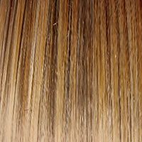 Curves Ahead Wig by Gabor | Lace Front | Mono Part