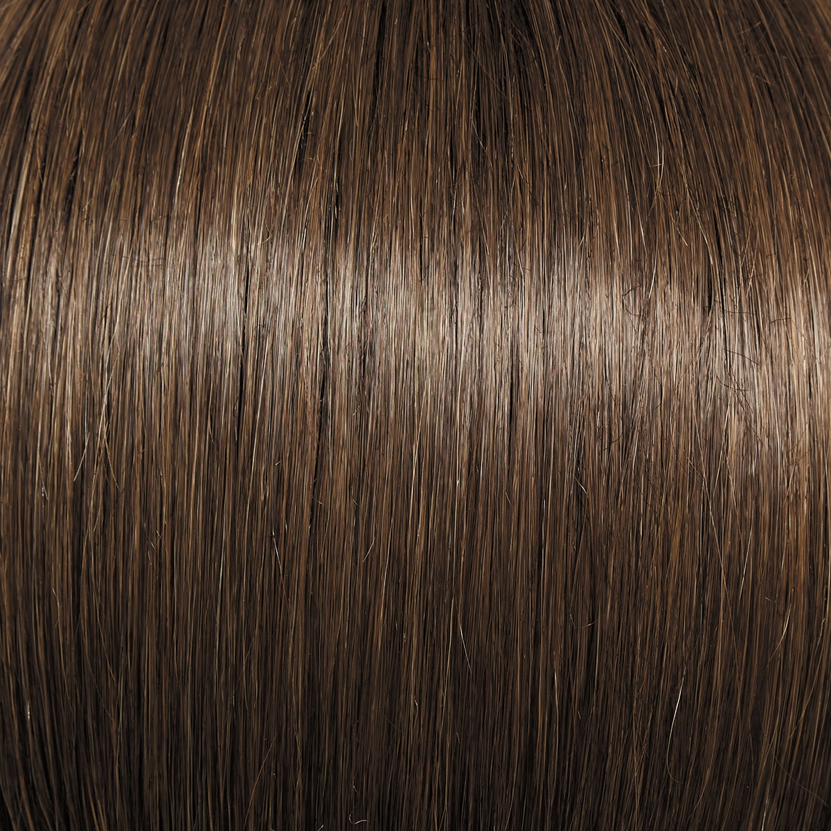 Director's Pick Wig by Raquel Welch | Heat Friendly Synthetic (Lace Front Mono)