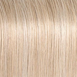 Director's Pick Wig by Raquel Welch | Heat Friendly Synthetic (Lace Front Mono)