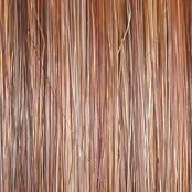 Director's Pick Wig by Raquel Welch | Heat Friendly Synthetic (Lace Front Mono)