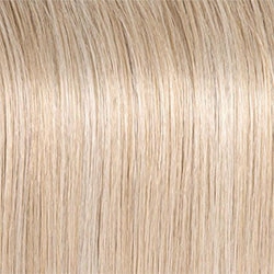 Director's Pick Wig by Raquel Welch | Heat Friendly Synthetic (Lace Front Mono)