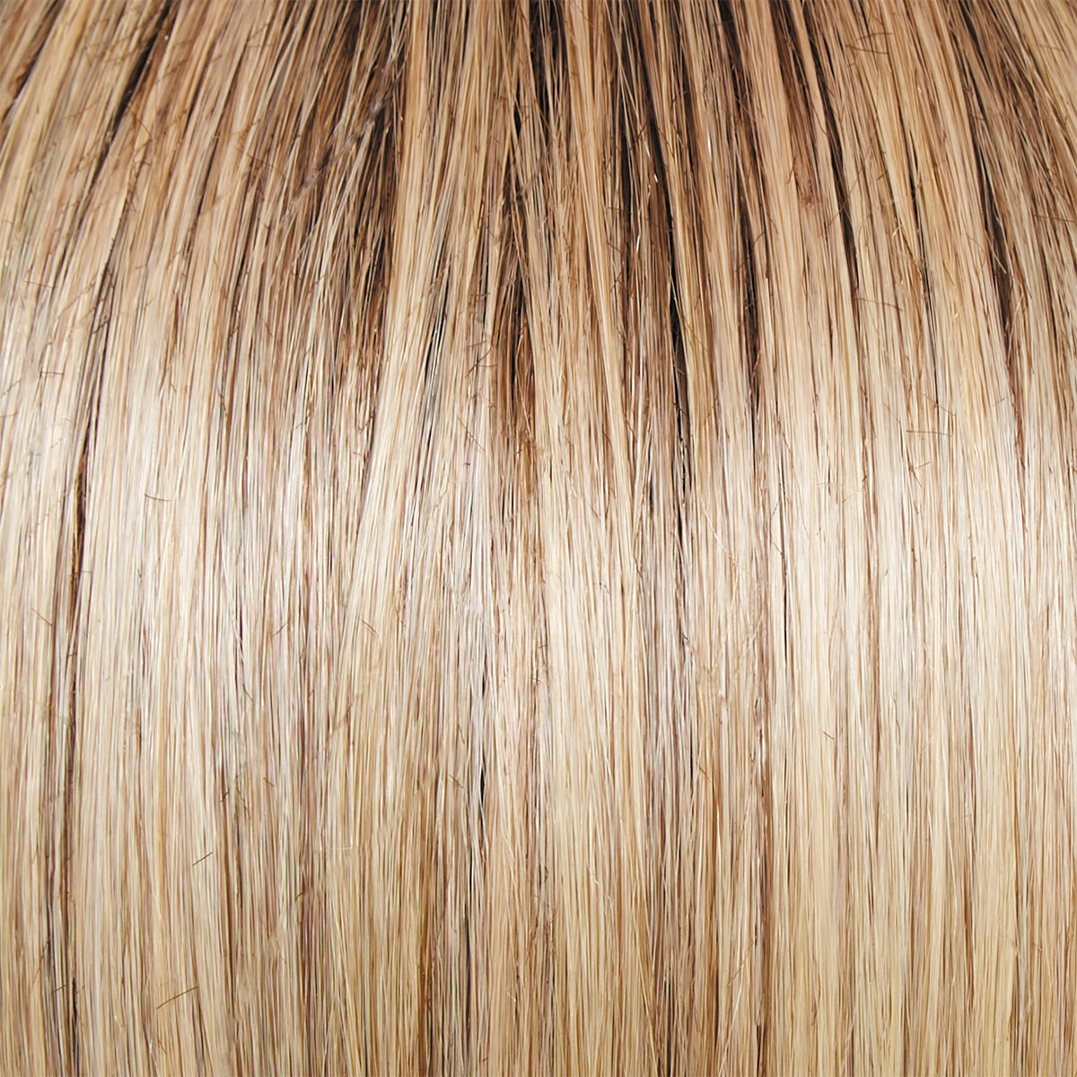 Director's Pick Wig by Raquel Welch | Heat Friendly Synthetic (Lace Front Mono)