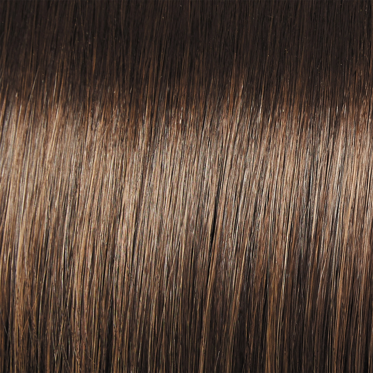 Director's Pick Wig by Raquel Welch | Heat Friendly Synthetic (Lace Front Mono)