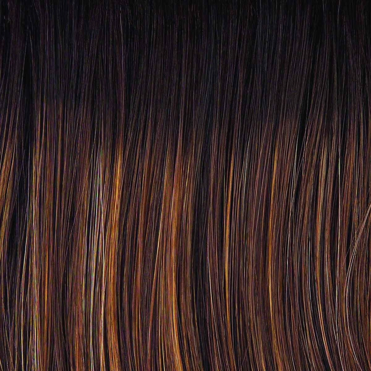 Director's Pick Wig by Raquel Welch | Heat Friendly Synthetic (Lace Front Mono)