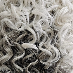 Director's Pick Wig by Raquel Welch | Heat Friendly Synthetic (Lace Front Mono)
