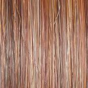 Director's Pick Wig by Raquel Welch | Heat Friendly Synthetic (Lace Front Mono)