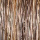 Editor's Pick Large Wig by Raquel Welch | Heat Friendly Synthetic Lace Front (Mono)