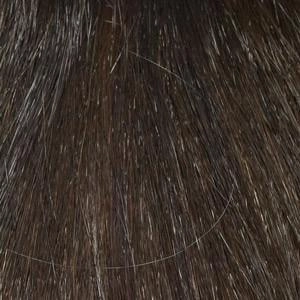 Haley Wig by Envy | Synthetic (Mono Top)
