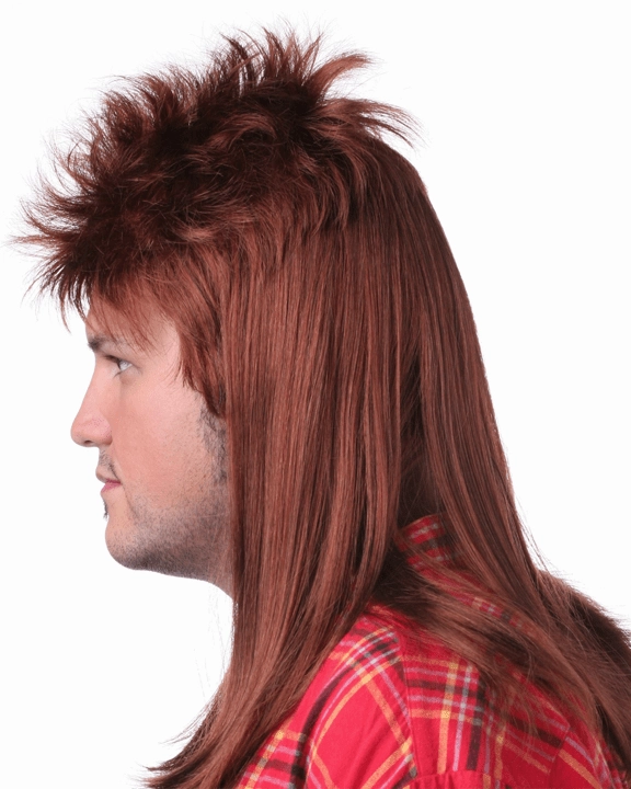 Mullet Longer