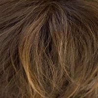 Reese wig - Noriko