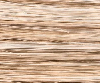 Rich Mono wig - Ellen Wille Hairpower Collection