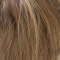 Rohan wig - Amore Rene of Paris