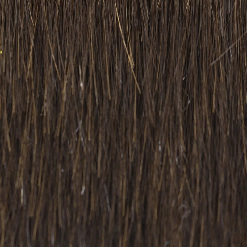 Sheer Joy Wig By TressAllure | Lace Front | Mono Top | Heat Friendly Synthetic