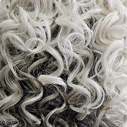 Simmer Elite Petite Wig by Raquel Welch | Synthetic (Hand-Tied Mono)