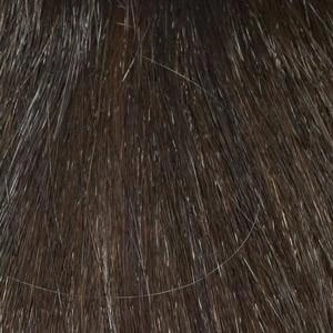 Tandi Wig by Envy | Human Hair Blend (Capless)