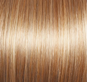 Unspoken Wig by Gabor | Lace Front | Mono Part