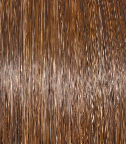 Untold Story Wig by Raquel Welch | Heat Friendly Synthetic | SHIRLEY'S CLOSET WIGS | FINAL SALE