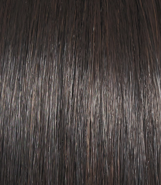 Untold Story Wig by Raquel Welch | Heat Friendly Synthetic | SHIRLEY'S CLOSET WIGS | FINAL SALE
