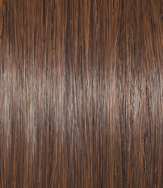 Untold Story Wig by Raquel Welch | Heat Friendly Synthetic | SHIRLEY'S CLOSET WIGS | FINAL SALE