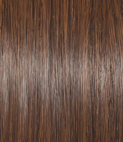 Untold Story Wig by Raquel Welch | Heat Friendly Synthetic