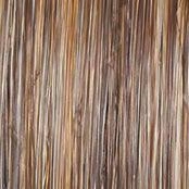 Upstage Petite Wig by Raquel Welch | Heat Friendly Synthetic (Lace Front Mono Top)