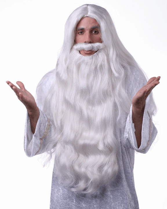 Wizard Wig & Beard Set